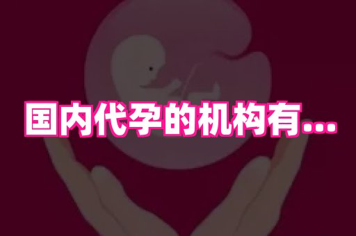贵州助孕网站 4